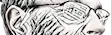 ::..ZAUMSEILdotCOM..::